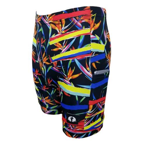 Funky Pants Classic - Strelitzia Stripes